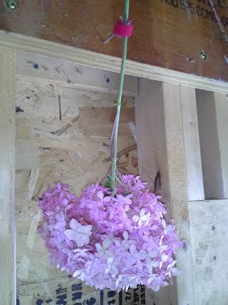 Dry Your Summer Flowers Hydrangeas with VELCRO Brand Ties