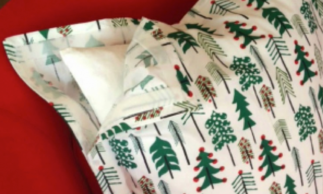 Sabrina Soto and VELCRO® Brand DIY Holiday Throw Pillow