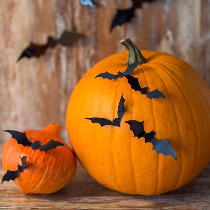 Bat Pumpkin Idea for Halloween