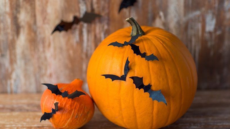 Bat Pumpkin Ideas