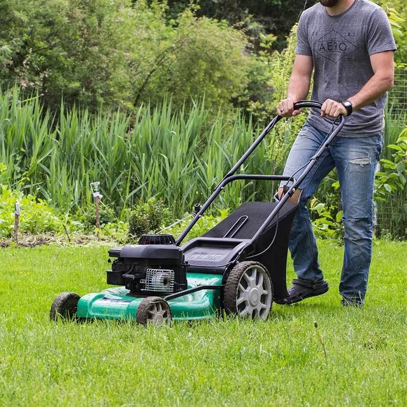 Mow-the-Lawn