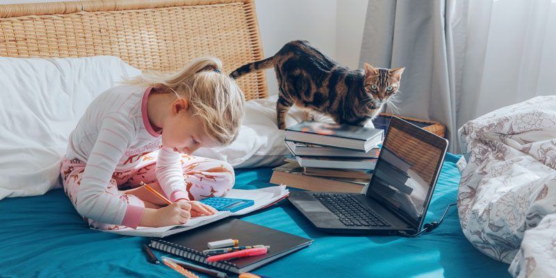 Girl studying with cat during pandemic
