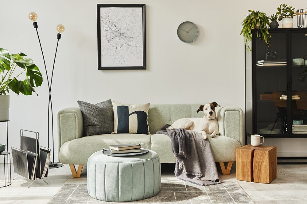 modern living room green sofa